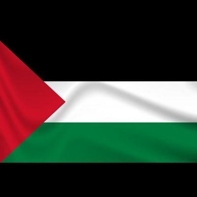 SundasShah4's profile picture. 