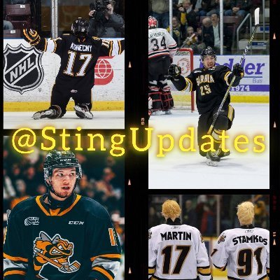 Providing updates about all things Sarnia Sting!