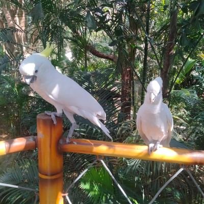 bhanwaratrauli's profile picture. 