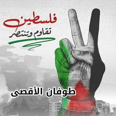 mohmmedalqashm1's profile picture. يمني الأصل من نسل عدنان وذي يزن. روحي فداء  لليمن..https://t.co/UJQvb4bJnL