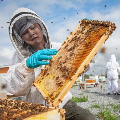 Pollinator nutritional ecology 🐝
Find me at @mississippbees.bsky.social
All views and opinions are my own.
