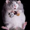 Timmy Carter - @CarterTimmy - Twitter