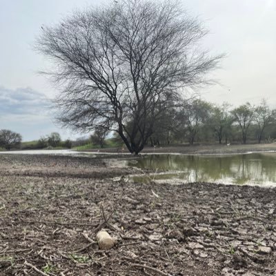 balajikannan044's profile picture. Divided by Zero...!