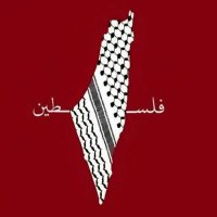 شهد (@shahdelshinnawy) 's Twitter Profile