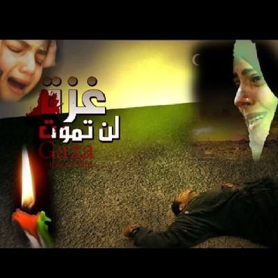 هذا رابط قناتي في تطبيق تيك توك
https://t.co/3axazoSX7F