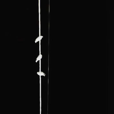 am_sehhati's profile picture. • شبیه •
فرکانس ۵۲ هرتزی •