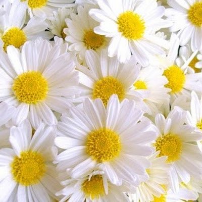 semataskinsoy's profile picture. 