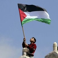Sümeyye Esma Tuna (@s_e_0172) 's Twitter Profile