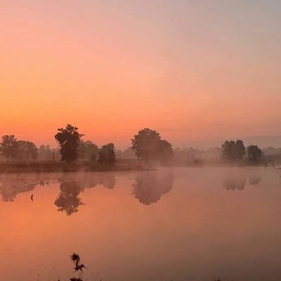 Chetan23293085's profile picture. Travellers.