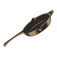 A tool to keep you and your friends up-to-date about your latest matches and more.