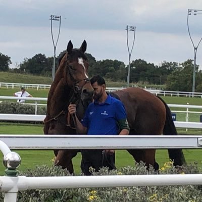 Fan Account. All things dedicated to Godolphin. Favourite Godolphin horses… Blue Point and Masar. @Godolphin #TeamGodolphin https://t.co/bpZv1FXWs9