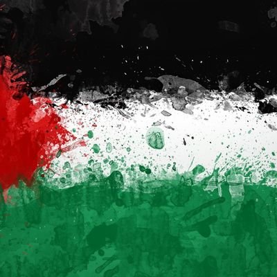 Abdelr239279's profile picture. 