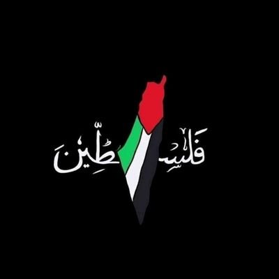 M7MD3ZAZY23's profile picture. Vet..ZU..lvl 5