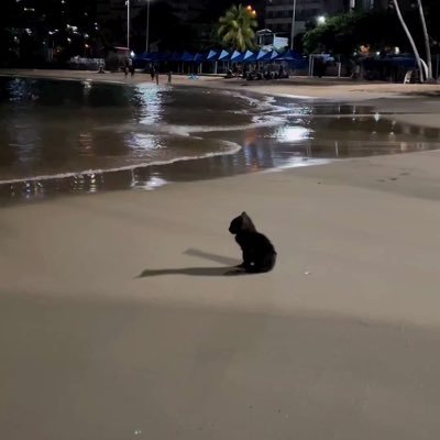 dfdchhvwg's profile picture. 