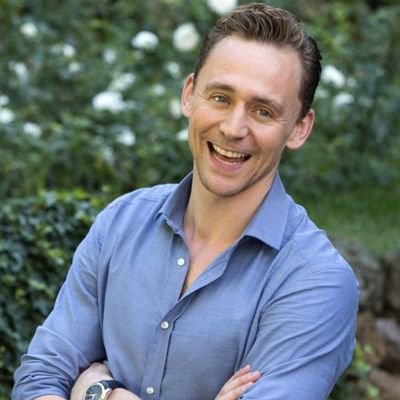 I m just fan Tom Hiddleston