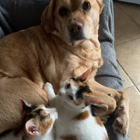 With Each New Page (@whosatthedoor) 's Twitter Profile Photo