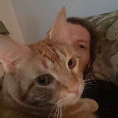 TimmyPoulin's profile picture. 