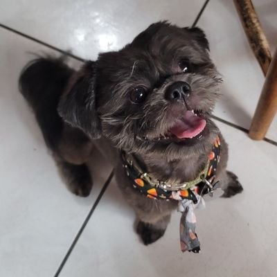 TraumaRider13's profile picture. 