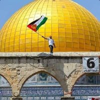 Ahmed helmy 🇵🇸 (@ahmedhe61359774) 's Twitter Profile