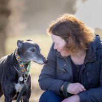 Mum of Max Greyhound(@ilkleymax) 's Twitter Profileg