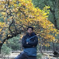 Naresh Sunkara, Ph.D.(@naresh_sunkara) 's Twitter Profile Photo