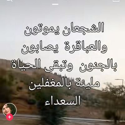 الوطن بذمتكم. 🇮🇶