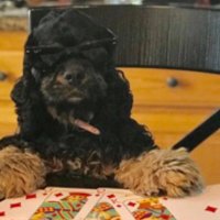 Well, hello friends! (@hellogarbarge) 's Twitter Profile Photo