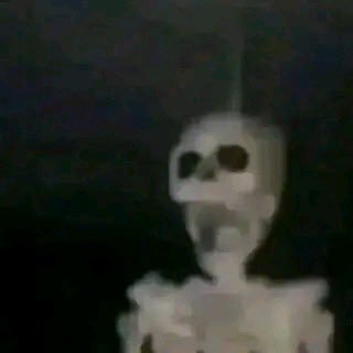 AugRodriguez10's profile picture. 