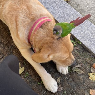 Sole_nyang's profile picture. 