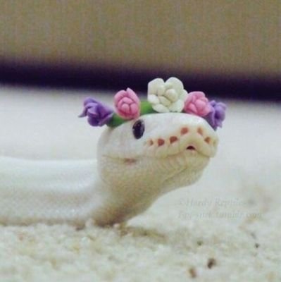 byambyam725004's profile picture. 4B,젠더론 안사요