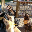 Rhonda - @RhondaDurham - Twitter