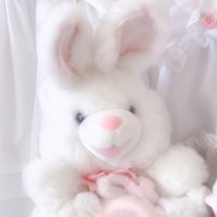 โกโก.๏ผ (@2tokki_nyeon) 's Twitter Profile Photo โกโก.๏ผ (@2tokki_nyeon) 's Twitter Profile Photo