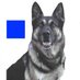 The Censored K9 (@canine2) Twitter profile photo