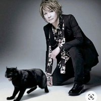 AI (@buterzero) 's Twitter Profile