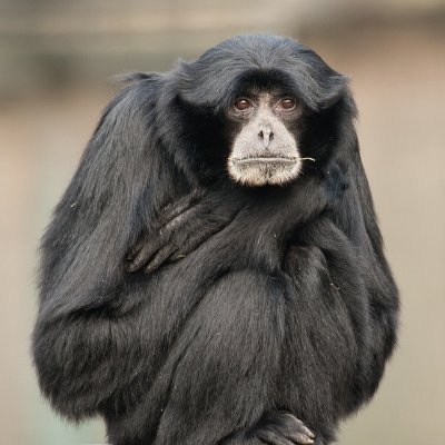 🪦Jun 2007 — Oct 2023
🧵 https://t.co/pXO8FP3bzH
🐳 https://t.co/nBtD4NFwh3…
🐘 https://t.co/03Uc0bHSix