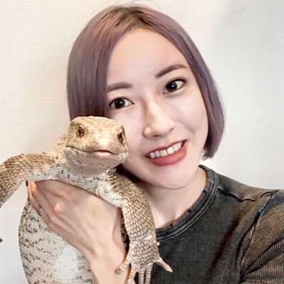 【爬虫類女子レプタイルズもとこ】でYoutubeしてます😊繁殖もちょこちょこ…🦎 お仕事の依頼はmotokoandr@gmail.comまで🙇‍♀️✨