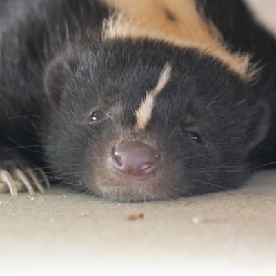 ちゃむ (@duex0502) / Posts / X