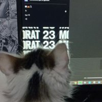 Mar :) (@lhmar16) 's Twitter Profile