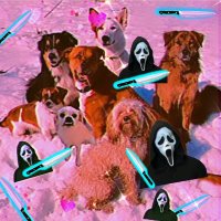 Wills7dogs (@hannithecani3) 's Twitter Profile