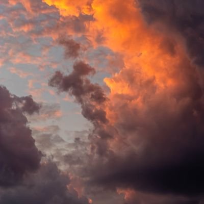 carl42506's profile picture. American & freedom loving

America First