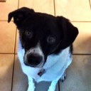 Oscar Cameron - @OscarTheDawg8 - Twitter