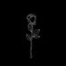 FU (@furkannulusoyy) Twitter profile photo FU (@furkannulusoyy) Twitter profile photo