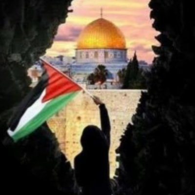 ems20031983's profile picture. PDO