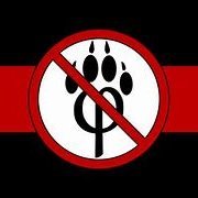 The best Furry Fandom News 🏳️‍⚧️