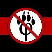 🇮🇹le furry news🇮🇹🏳️‍⚧️(@AntiFurryNews) 's Twitter Profile Photo