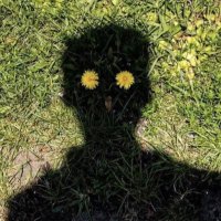 DrewRende (@drewrende) 's Twitter Profile