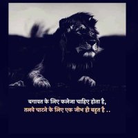 David Singh (@davidsingh62961) 's Twitter Profile