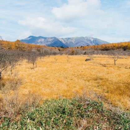 nasushio_'s profile picture. こんにちは！宇都宮大学地域デザイン科学部の学生です
11月4日に那須塩原市で行われるイベント用アカウントになります
皆様のご参加お待ちしています！