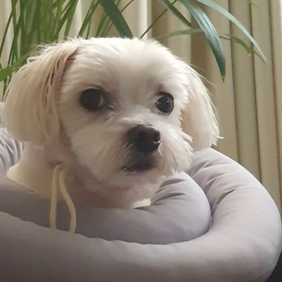 biooooooo9167's profile picture. 