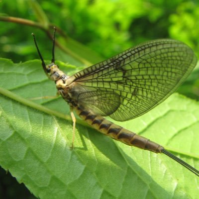 b_m_k_s_m_yuki's profile picture. キャンパー フライフィッシャー ルアーマン サウナー